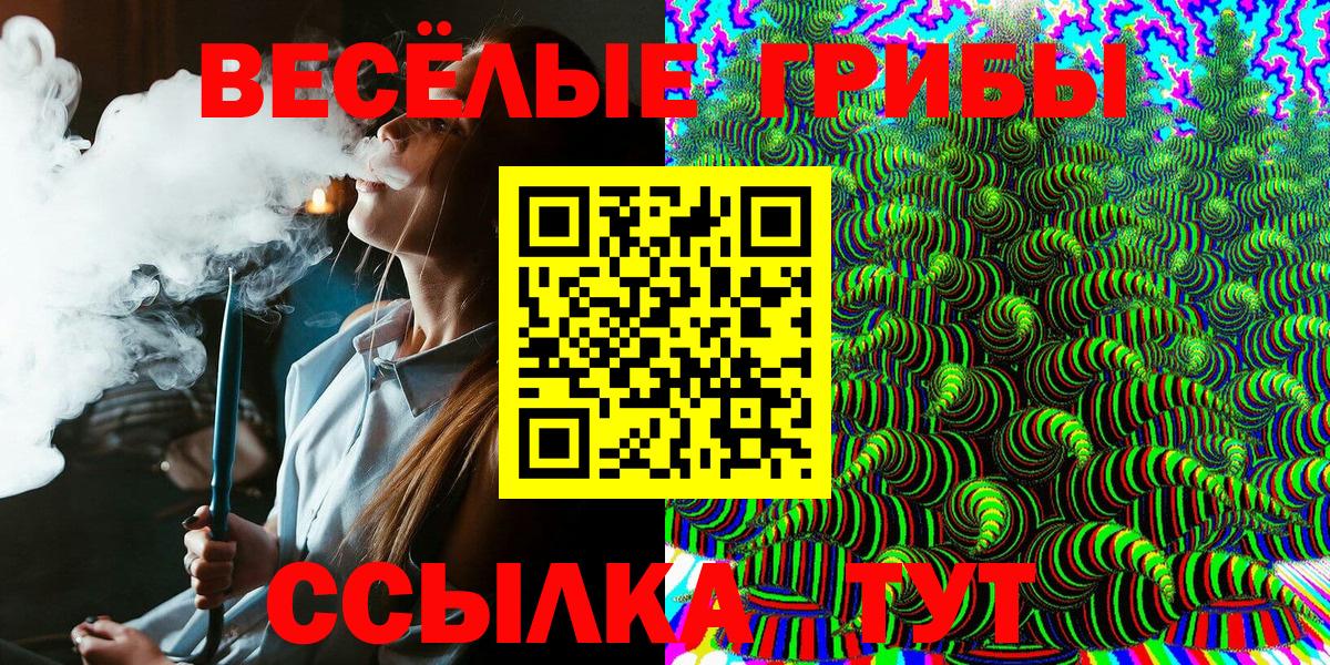 магазин  наркотиков  Вход с VPN  Гудермес  Галлюциногенные грибы Magic Shrooms 