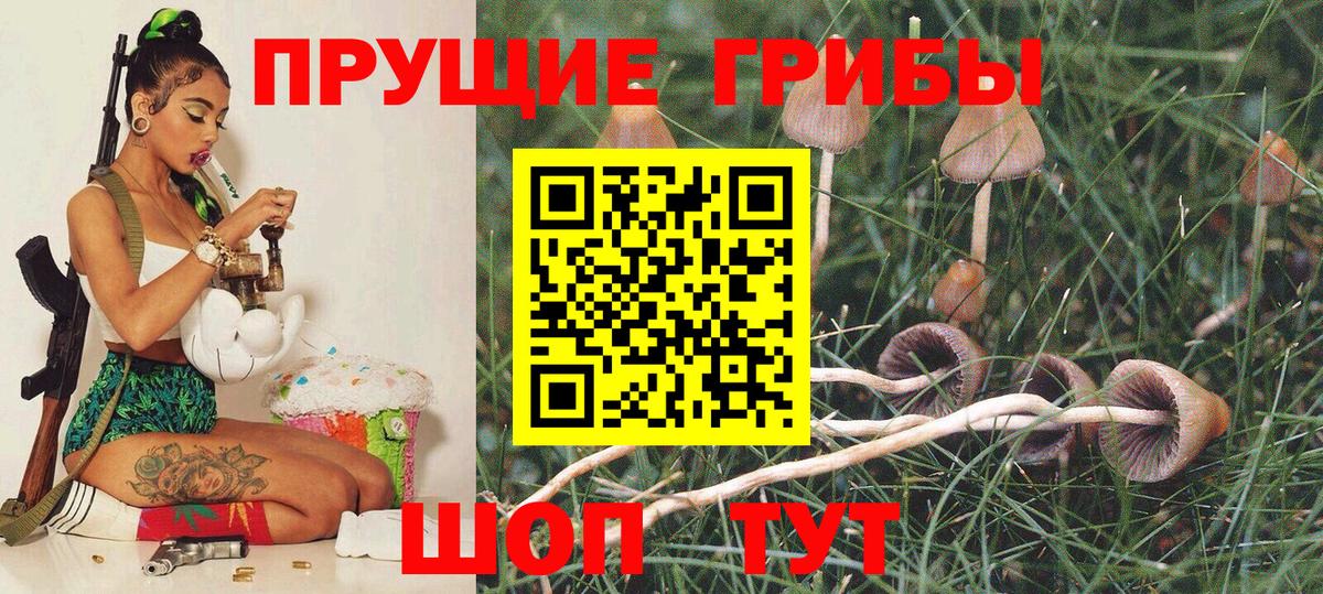 Галлюциногенные грибы MAGIC MUSHROOMS Гудермес